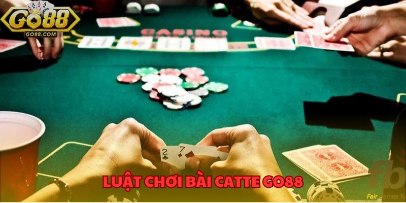 Mẹo Chơi Catte GO88 Hiệu Quả Giúp Bạn Làm Chủ Cuộc Chơi 3 Luật chơi bài catte GO88