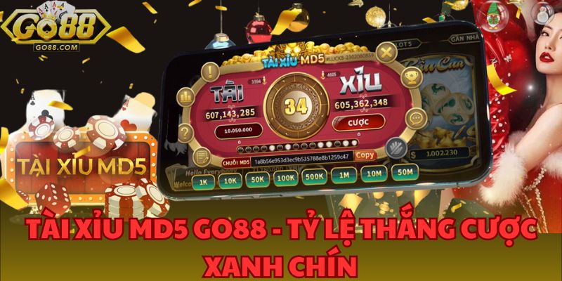 Tài Xỉu MD5 GO88 - Trò Chơi Đỉnh Cao Gây Bão Làng Cá Cược 3 Cơ hội đổi đời không thể bỏ lỡ với tài xỉu MD5