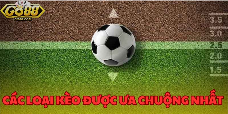 Thể Thao GO88 - Cá Cược Công Bằng, Kèo Hấp Dẫn Mỗi Ngày 4 Kèo được ưa chuộng nhất tại thể thao GO88 cho tân binh